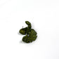 Monstera Leaf Dangle & Stud Earrings