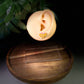 Classroom Cuties Teacher Stud Earrings