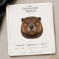 Beaver Head Earrings & Pins on original display card